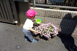 千早さくらそう保育園